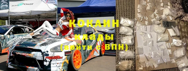 индика Абинск