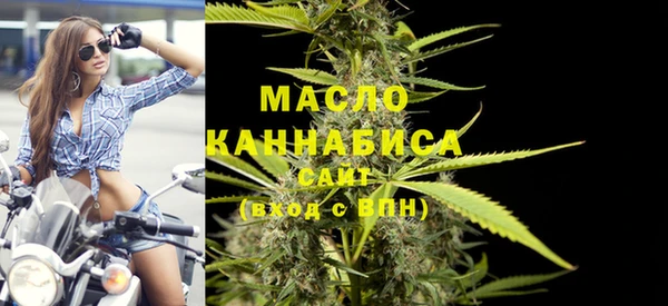 твердый Пересвет