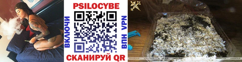 Галлюциногенные грибы Cubensis  KRAKEN зеркало  Абдулино  купить закладку 